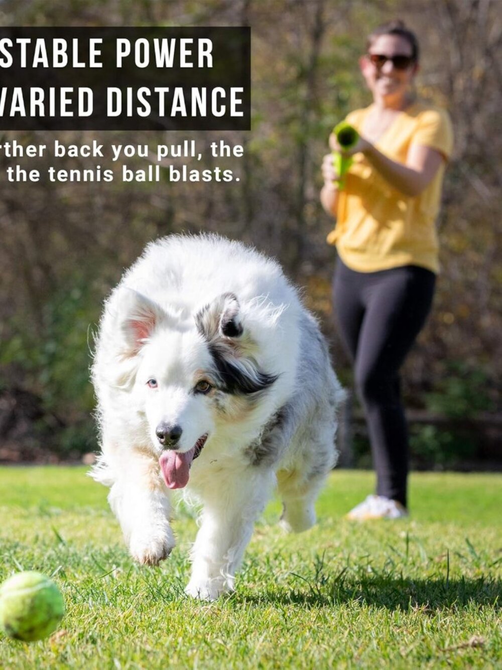 K9 Kannon Dog Ball Thrower Launcher for Dogs, All Breeds Up To 60 Pounds, With O - Picture 7 of 9